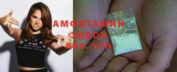 шишки Гусь-Хрустальный