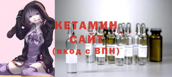 шишки Гусь-Хрустальный