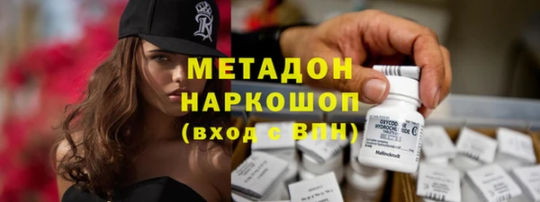 шишки Гусь-Хрустальный