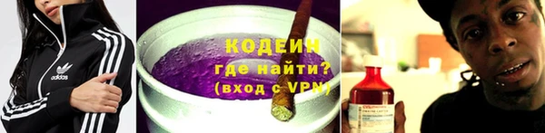 шишки Гусь-Хрустальный