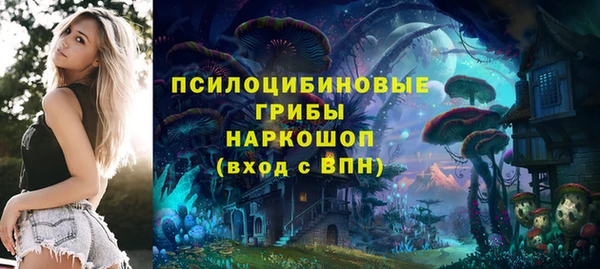 прущая мука Гусев