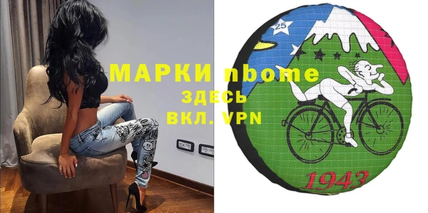 шишки Гусь-Хрустальный