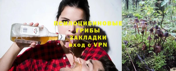 шишки Гусь-Хрустальный