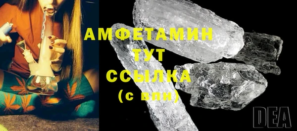 шишки Гусь-Хрустальный
