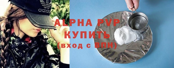 шишки Гусь-Хрустальный