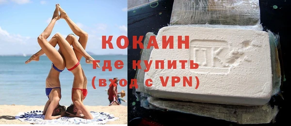 шишки Гусь-Хрустальный