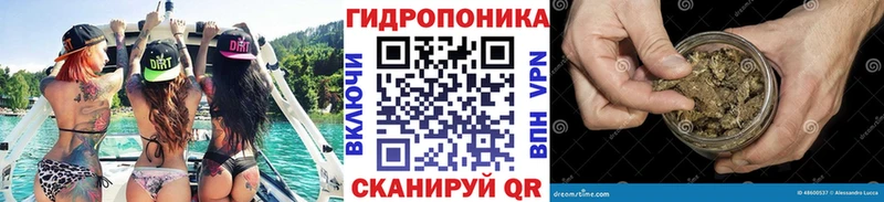 Конопля ГИДРОПОН  Купить закладки  Сосенский 